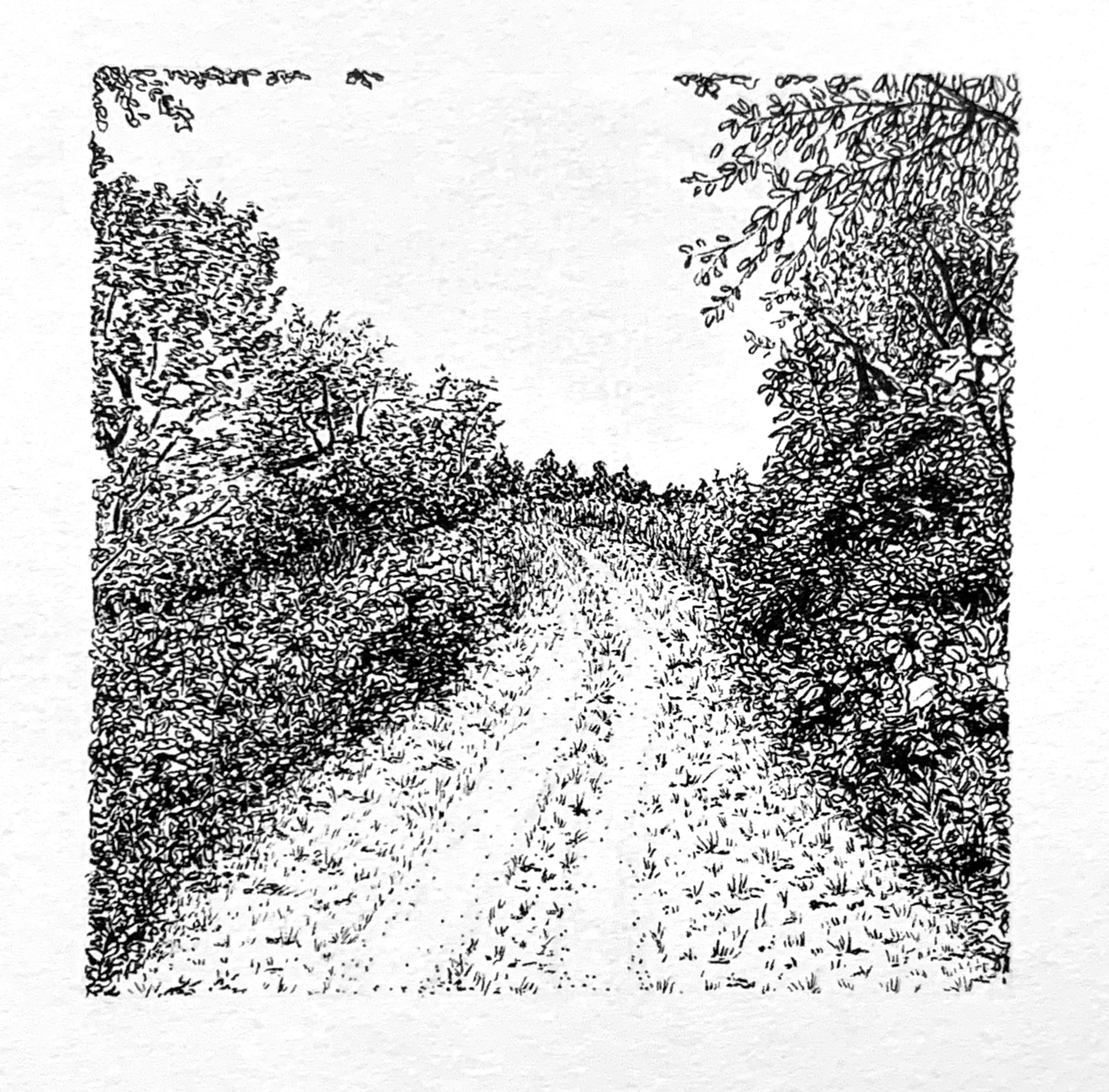 ink drawing of park trail