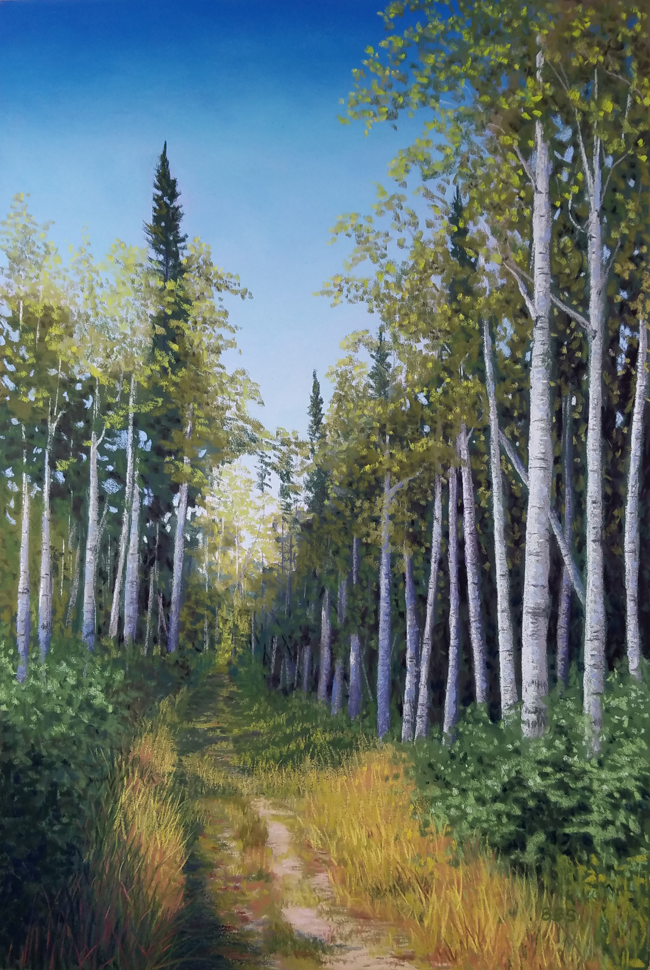 pastel drawing of aspens along a trail