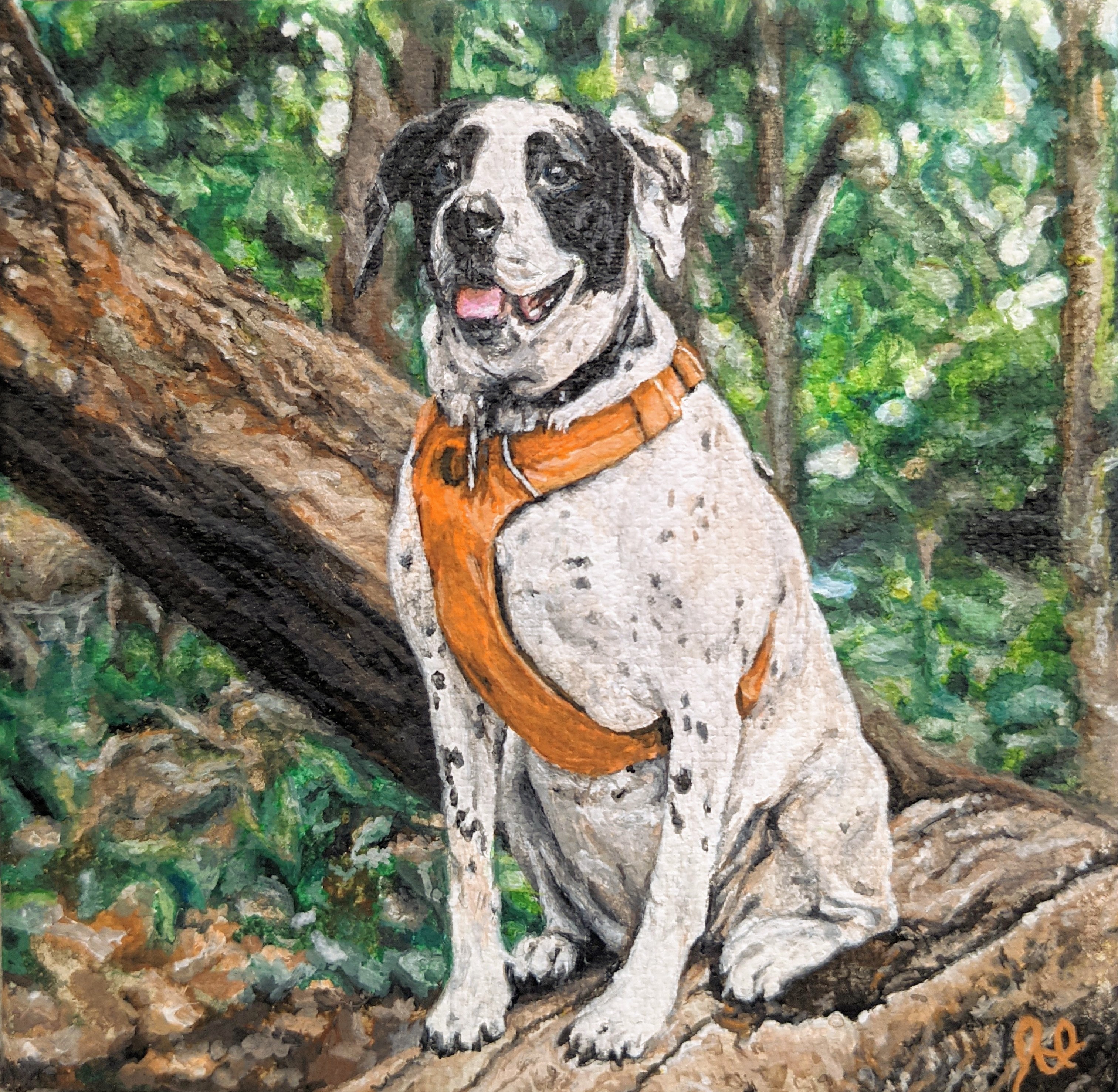 acrylic painting of a white and black dog in the forest on a tree
