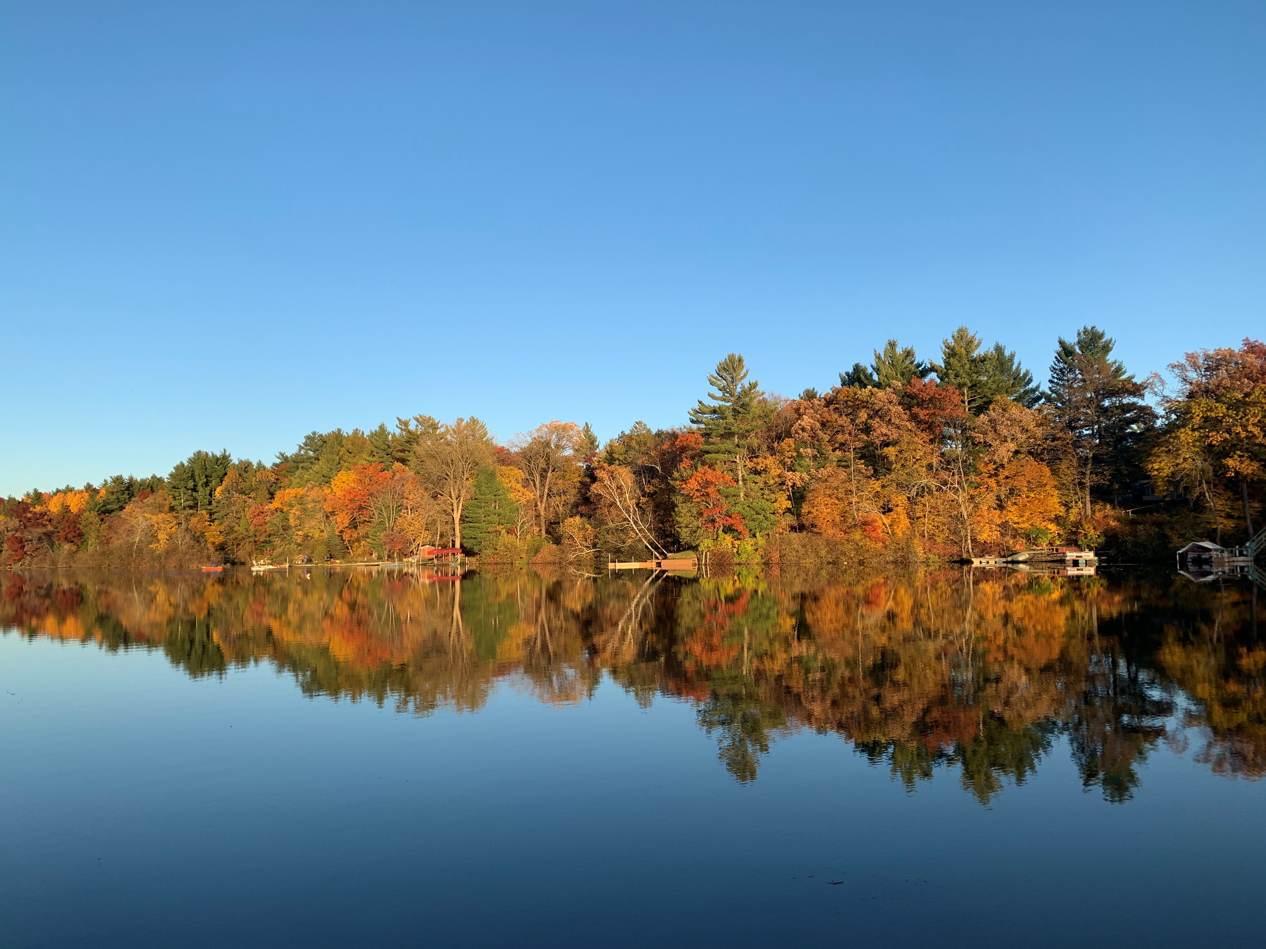photograph of water with autumnal treeline reflecting it and blue sky above it