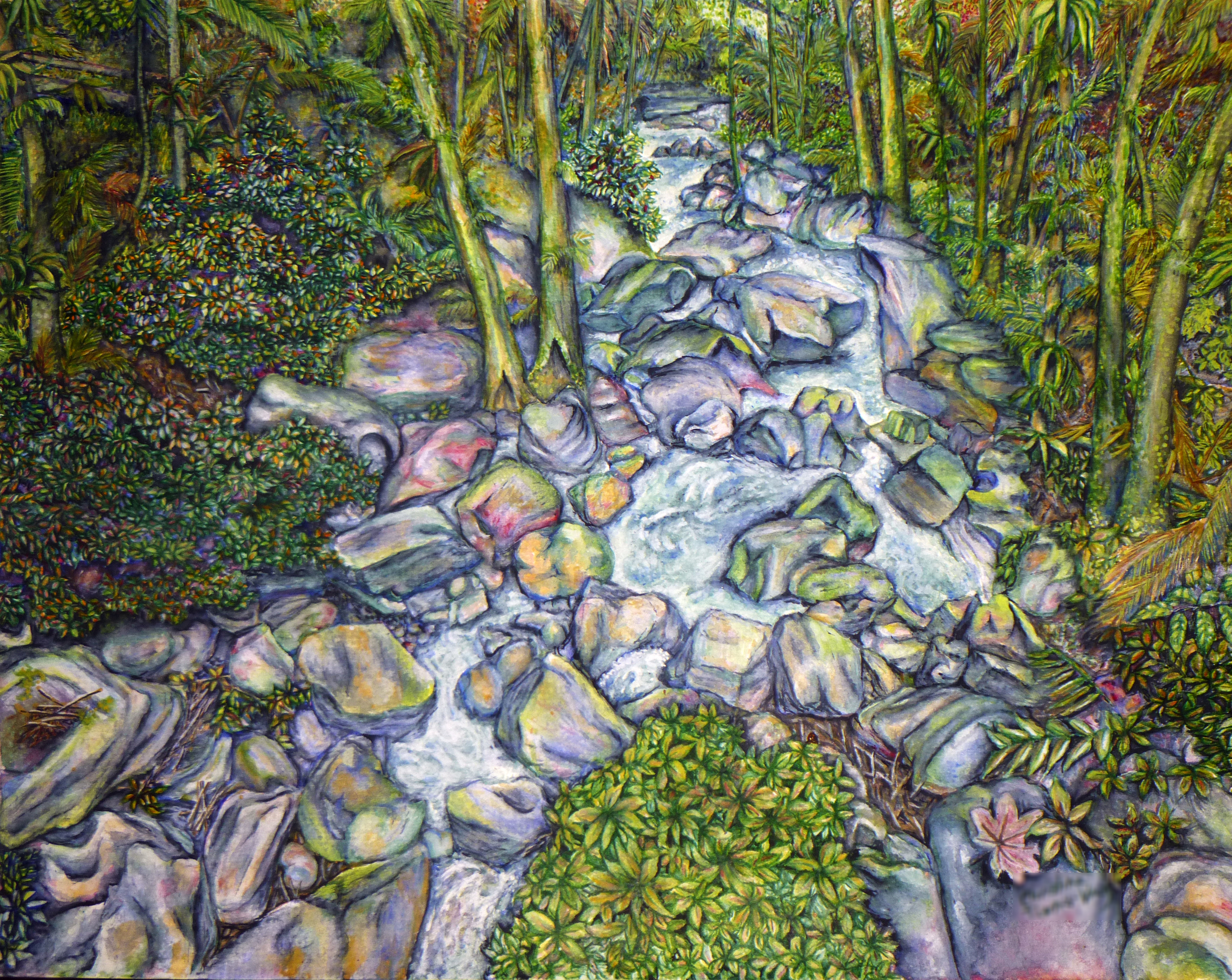 watercolor of river in forest with stones and other plants