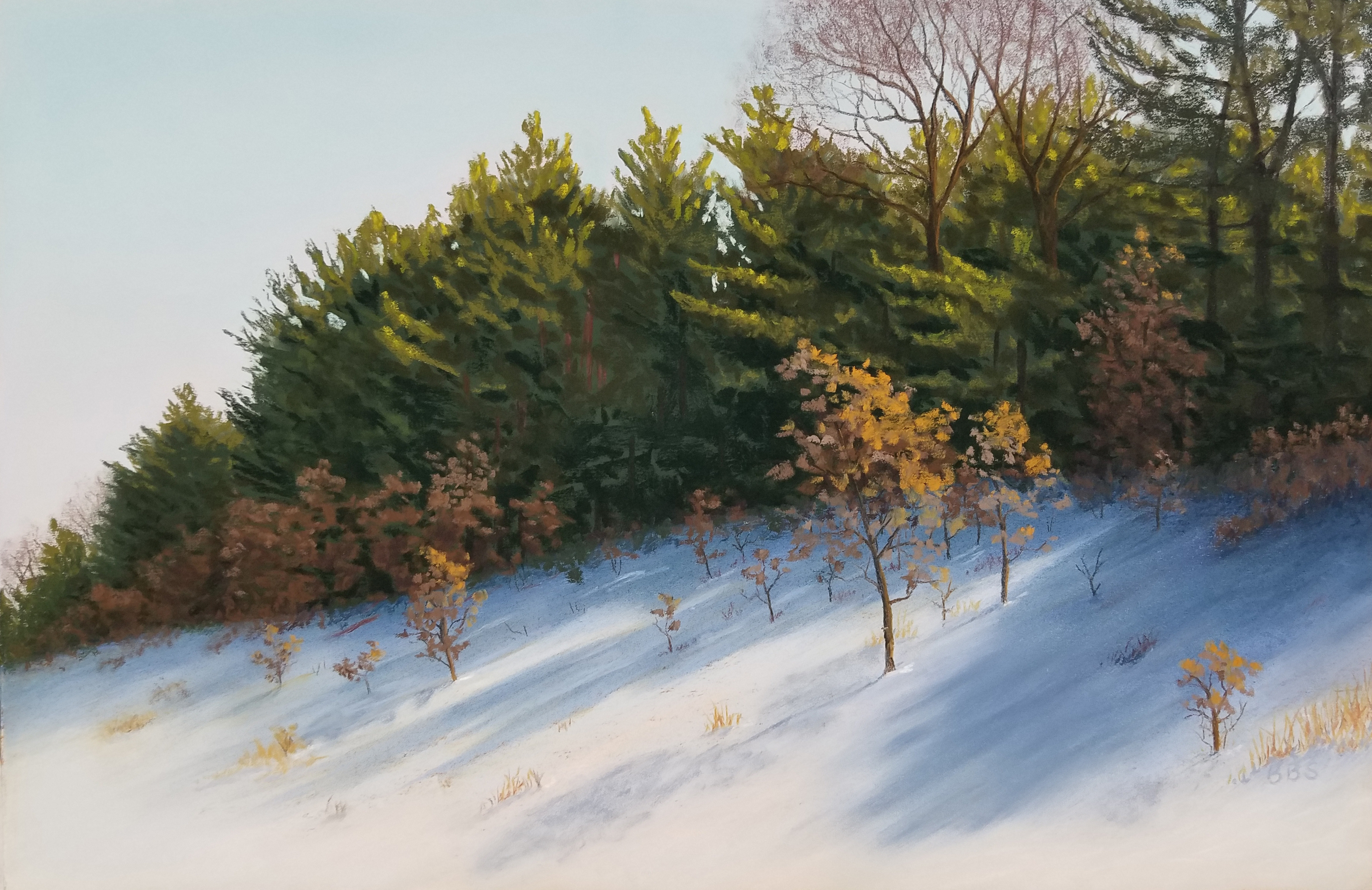 drawing of snow covered hillside with different kinds of decidious and coniferous trees, some trees with brown leaves and some leaves