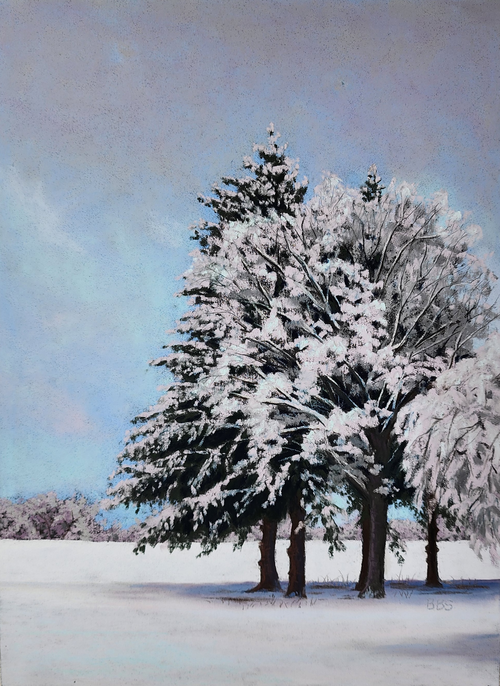 pastel drawing of trees in a field covered in snow against a blue, cloudy sky
