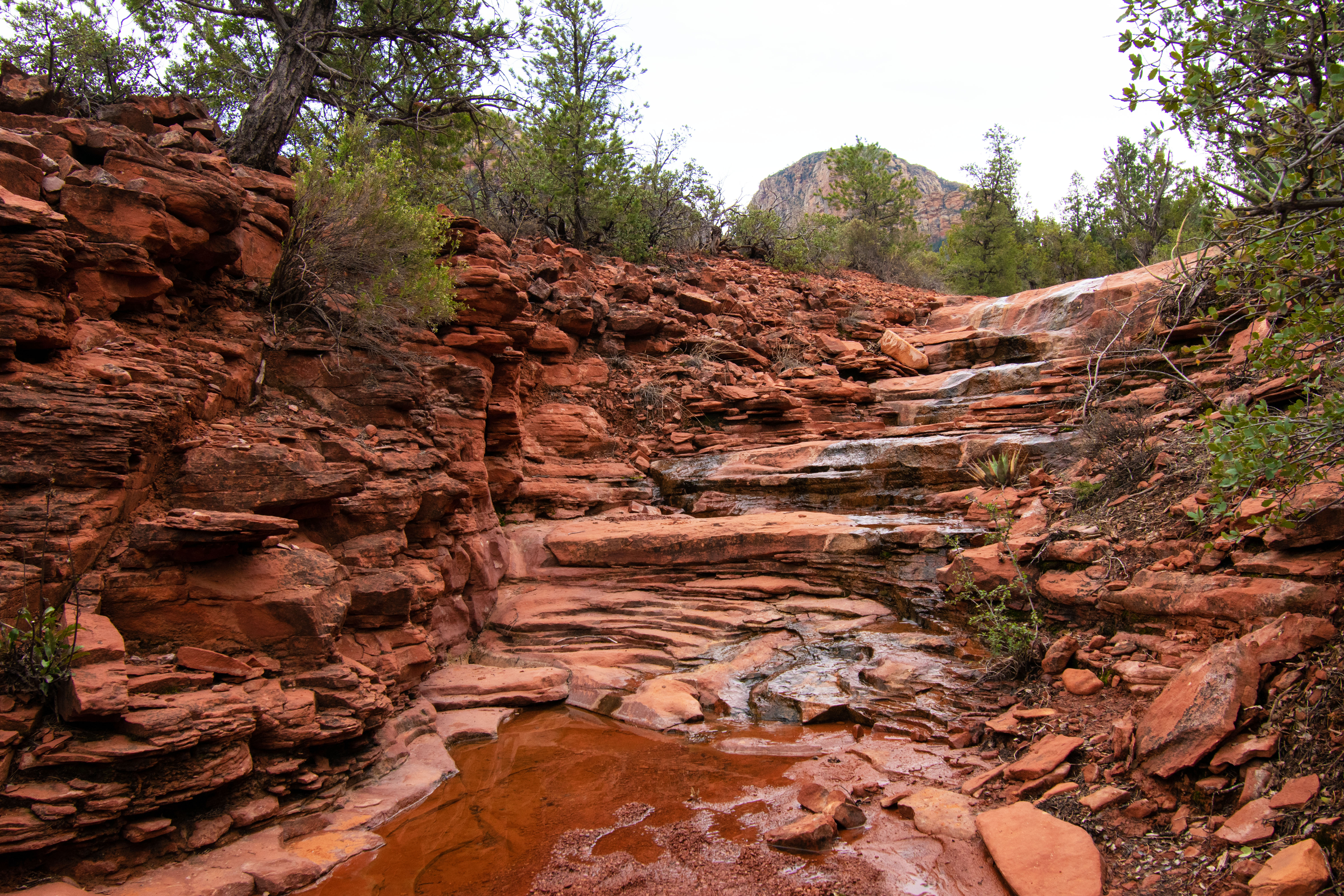 Color photograph of a creek bed with red rocks and water cascading down into the creek with green leafed trees