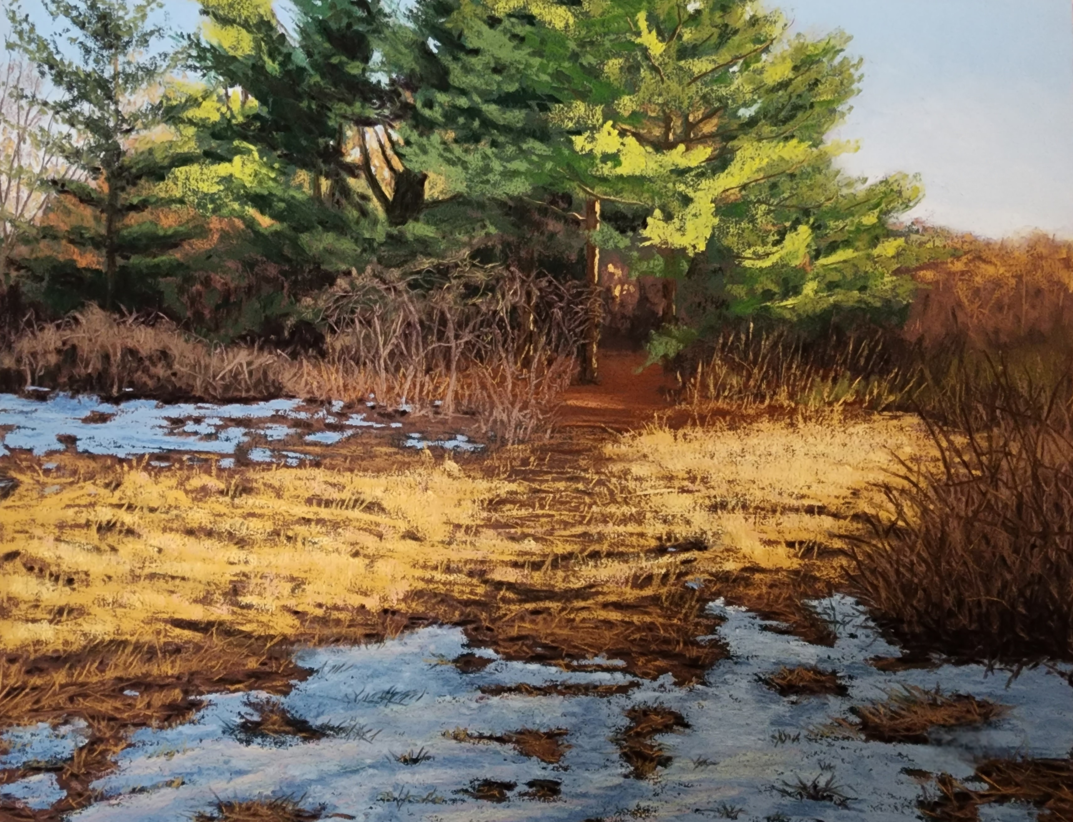 Drawing of field with some snow and brown and tan grasses with coniferous trees and sunny sky in background