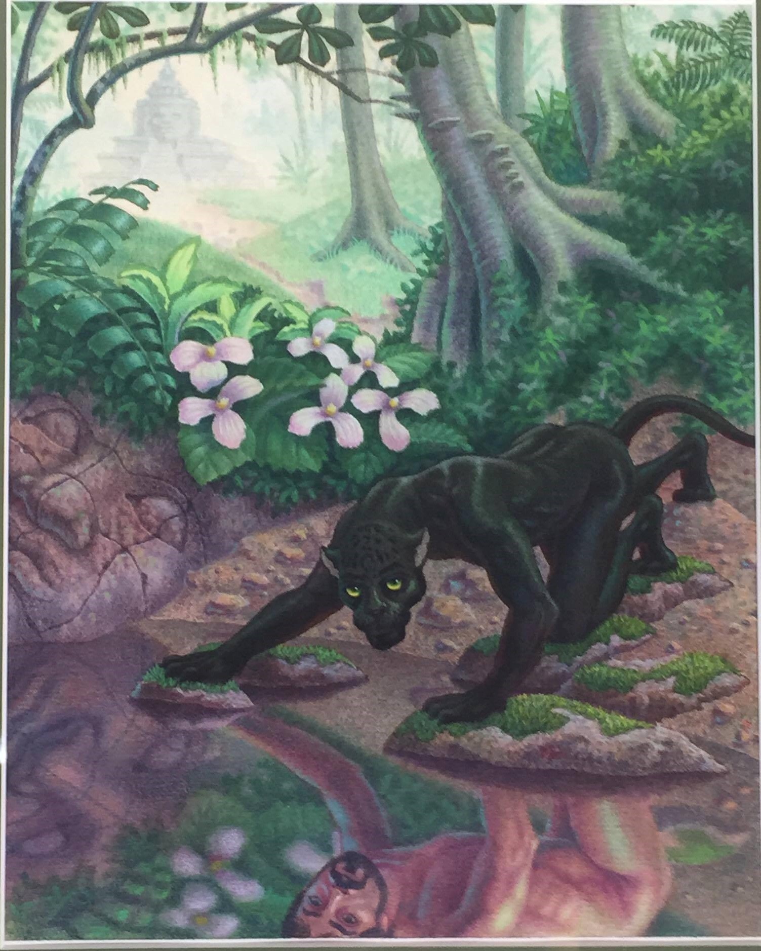 Large black colored cat hovers over a pool of water in a jungle or forest setting looking out at the viewer with the reflection of a light-skinned human male with beard mirrored in similar position looking out at viewer