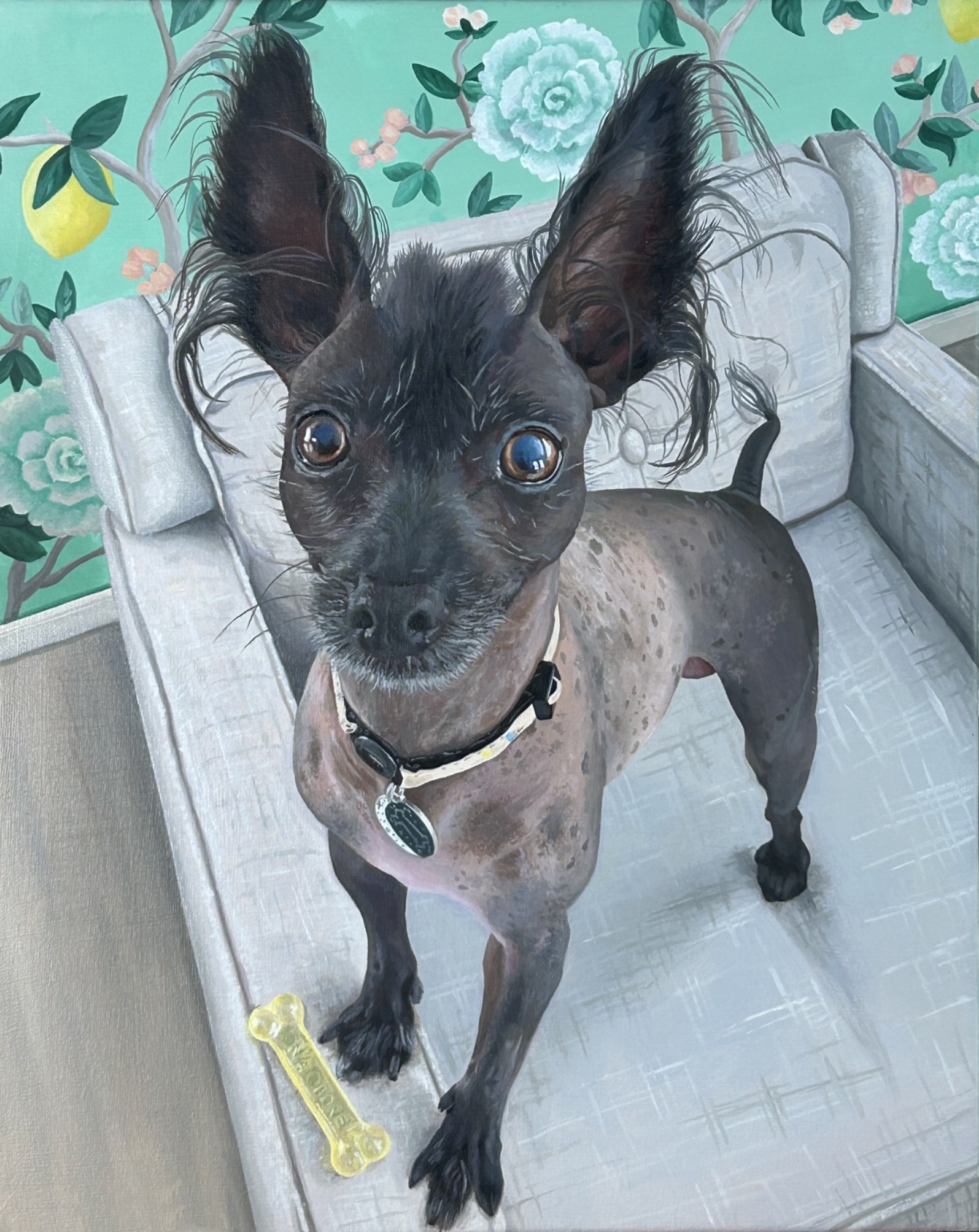 Lifelike painting of small, dark gray dog standing on light gray sofa chair staring up at viewer with teal-green wallpaper of lemons and flowers