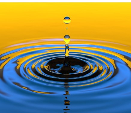 photo of a drop of water making ripples in a body of water