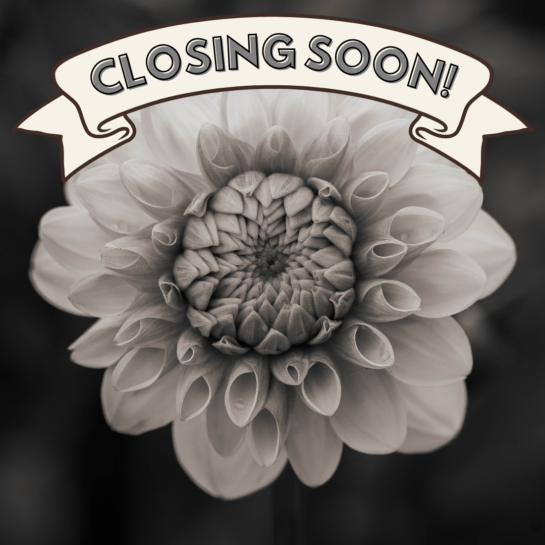 Black and white close up image of light colored flower with light gray banner on top with the words CLOSING SOON! in it