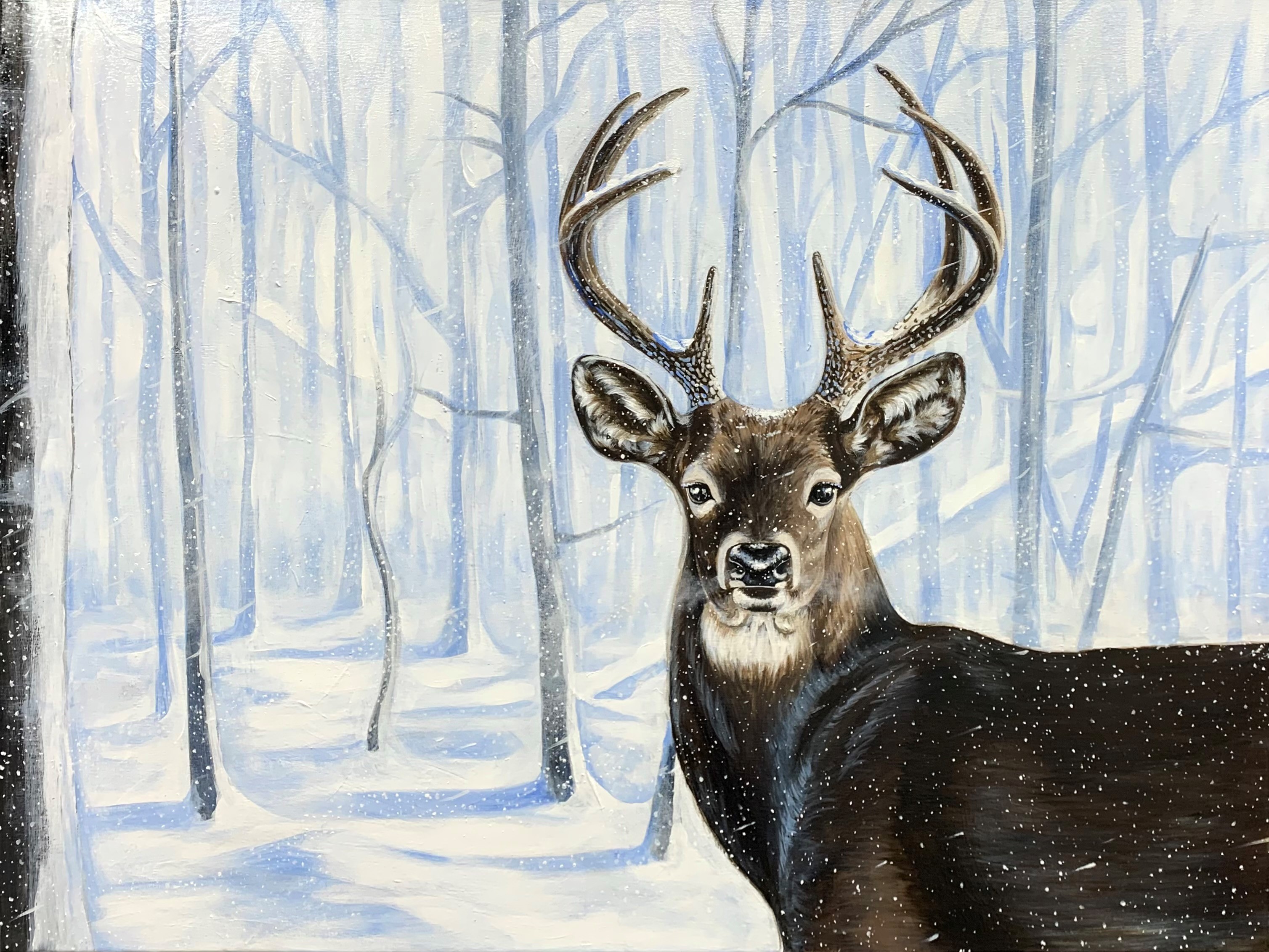 buck in snow-covered forest looking back at viewer