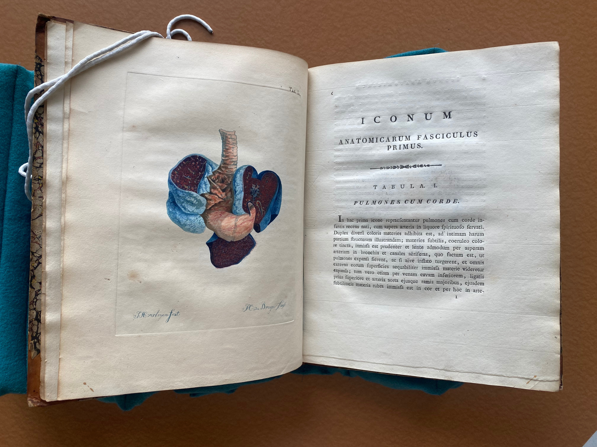 Icones anatomico-physiologicae partium corporis humani et animalium, quae in descriptione Musei Academicae Rheno-Trajectinae inveniuntur
