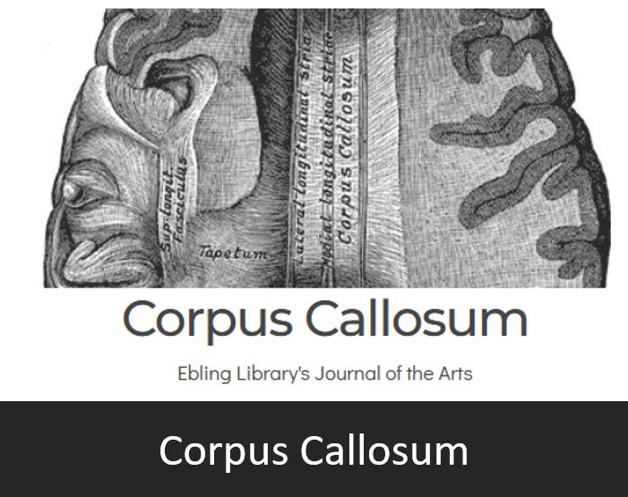 Corpus Callosum button