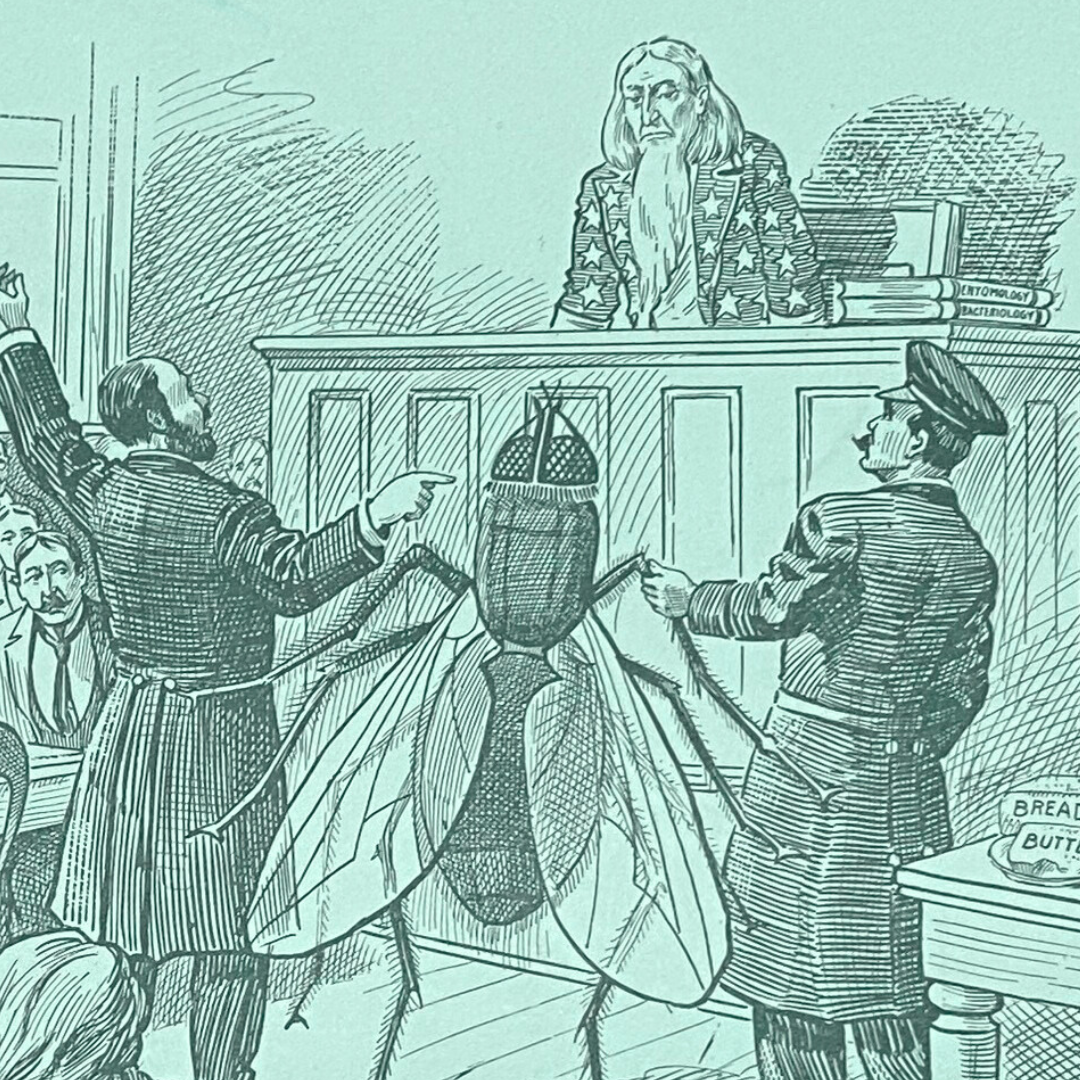 A fly is drug into a courtroom as the defendant, and Uncle Sam serves as judge.