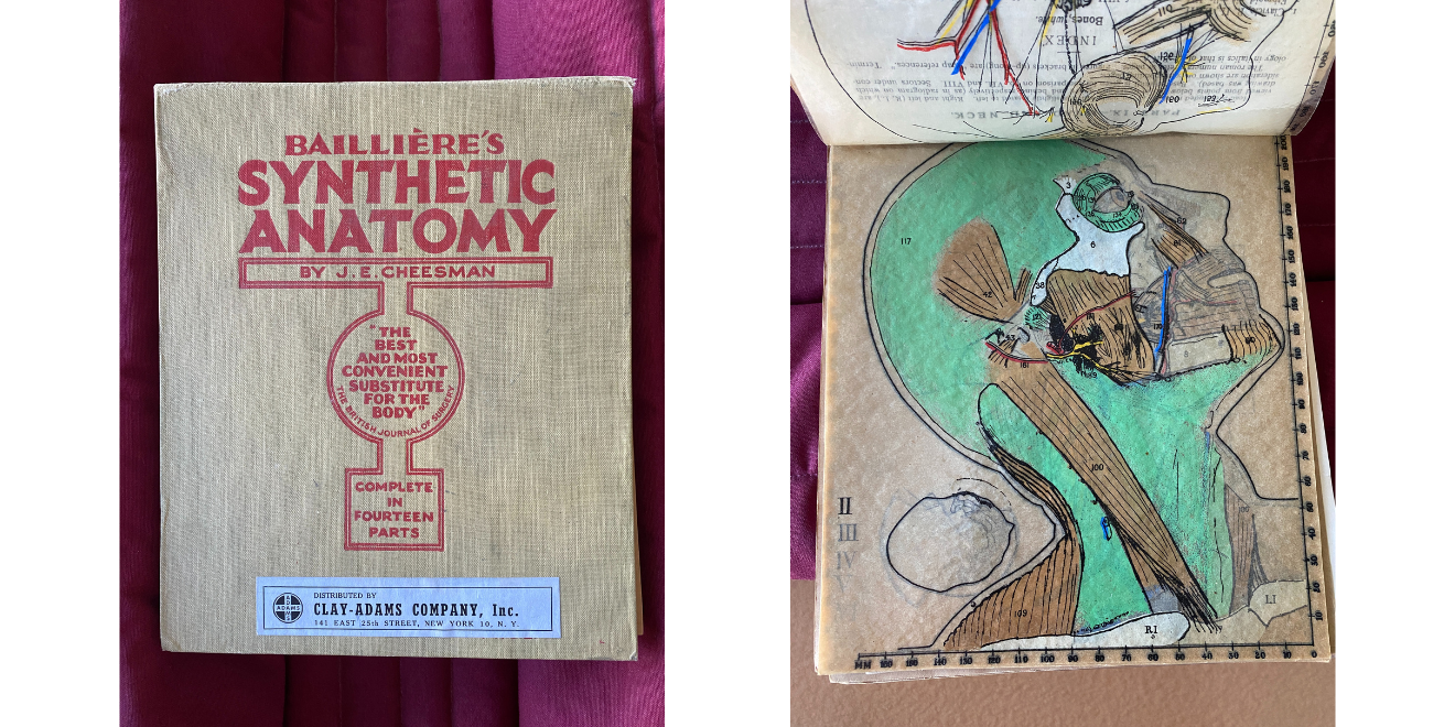Side by side images of the cover of Balliere's Synthetic Anatomy, bound in brown cloth with red stamped lettering and of stylized image of person's face with skin removed, tissue shown in green and muscle in brown.
