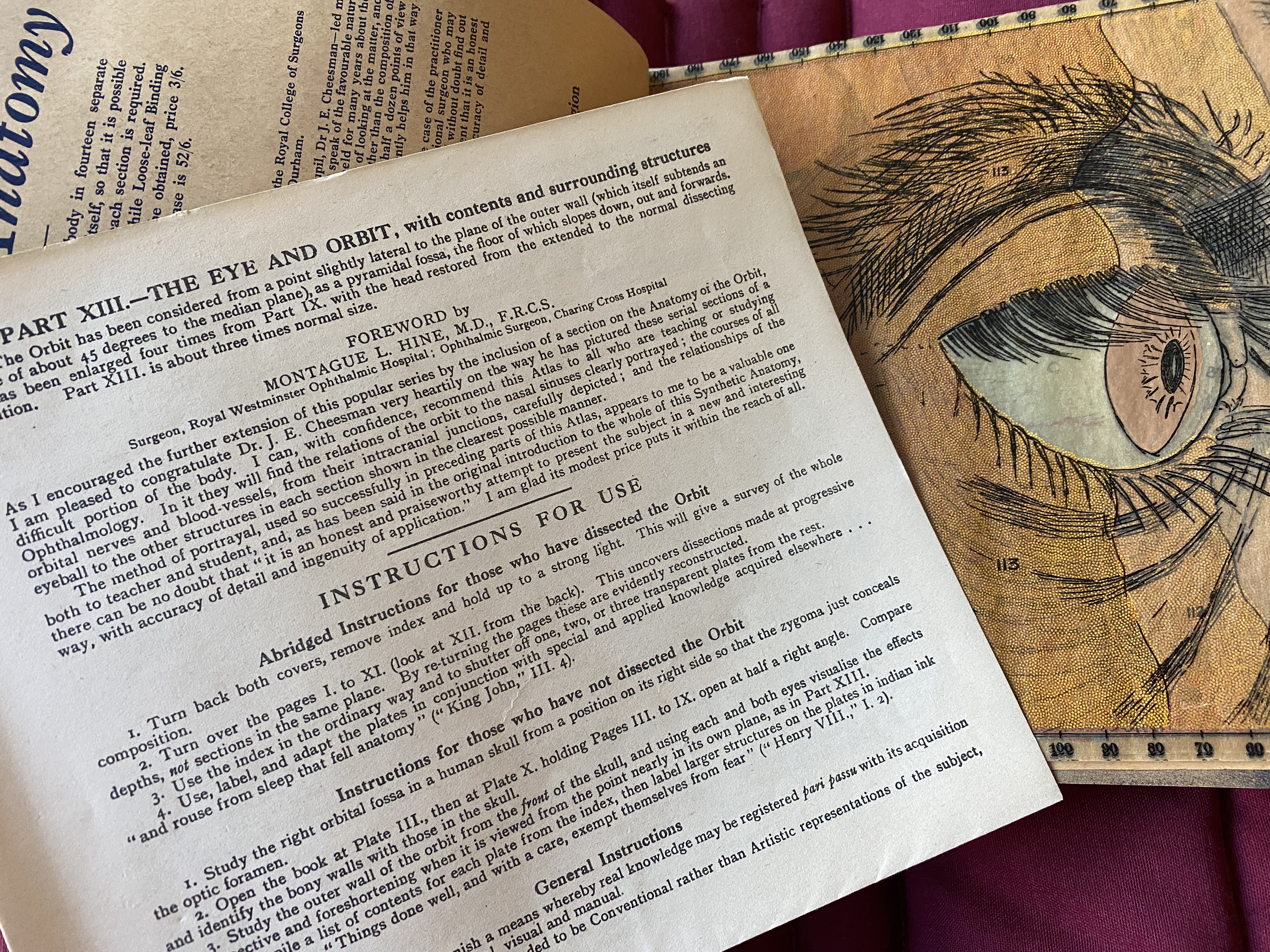 Instructions for using Part XIII of the book The Eye and Orbit, lying on top of a stylized illustration of a person's eye.